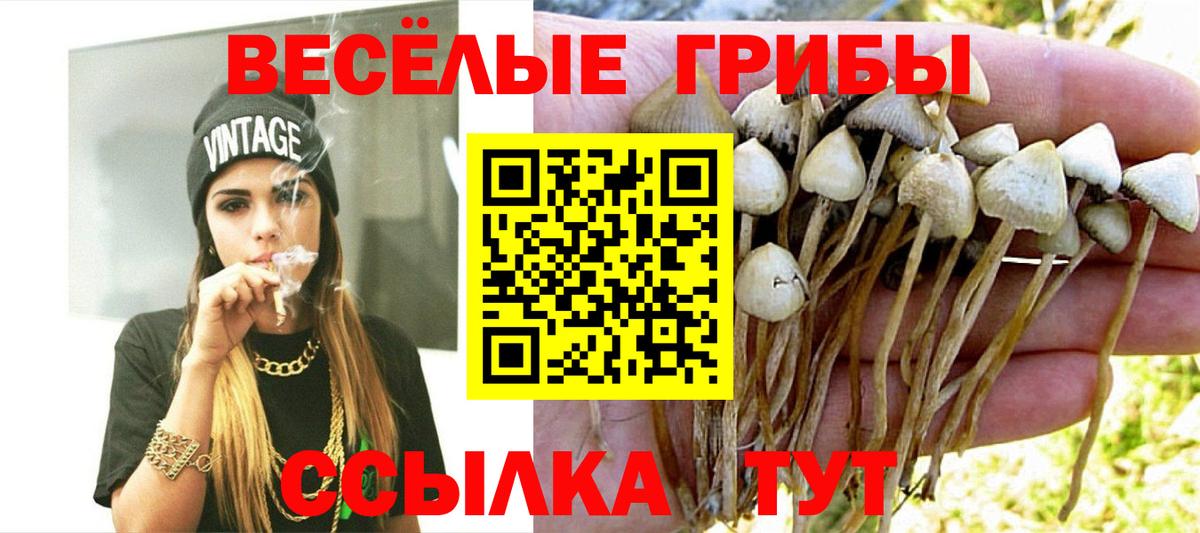 Кропоткин  Галлюциногенные грибы GOLDEN TEACHER  Вход с VPN 