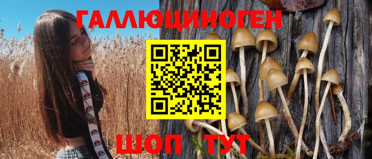 Галлюциногенные грибы мухоморы Кропоткин